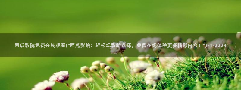 西瓜影院 免费观看