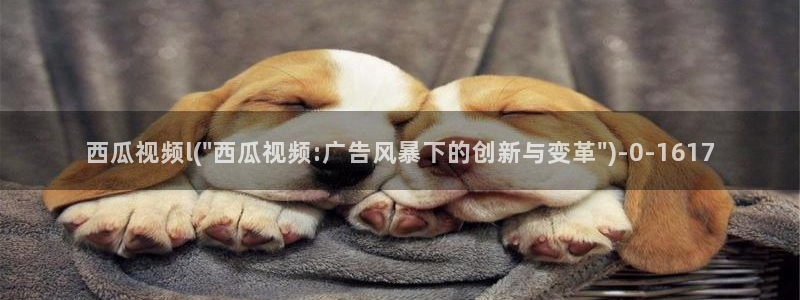 西瓜视频免费高清电视剧