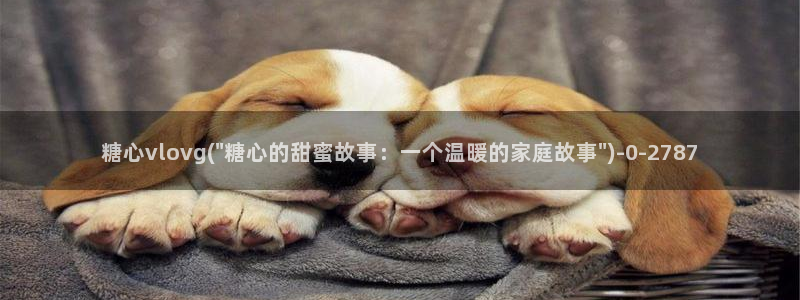 糖心小恩vlog：糖心vlovg(\