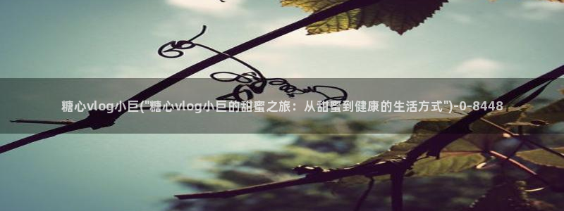 txvlogcom糖心：糖心vlog小巨(\