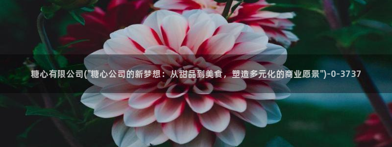 糖心vlog回家：糖心有限公司(\