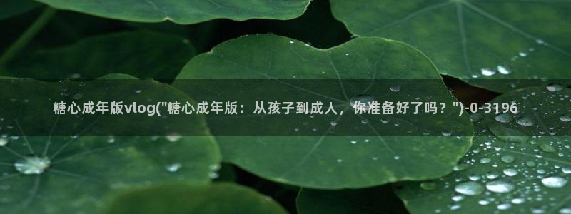 糖心vlog是：糖心成年版vlog(\