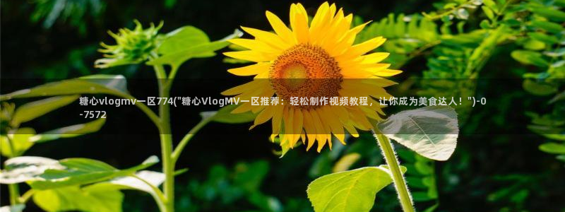 心糖vlogo：糖心vlogmv一区774(\