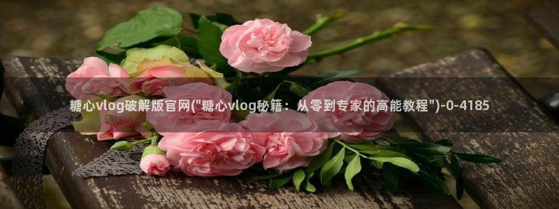 糖心vlog是什么：糖心vlog破解版官网(\
